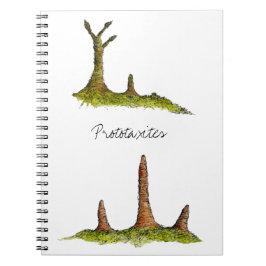 Cuaderno de Prototaxites