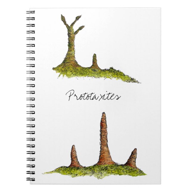 Cuaderno de Prototaxites (Frente)
