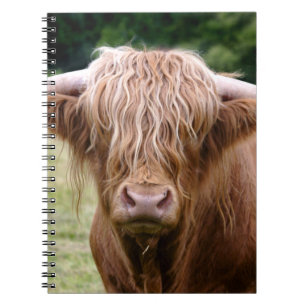 Cuaderno de quién apagó las luces