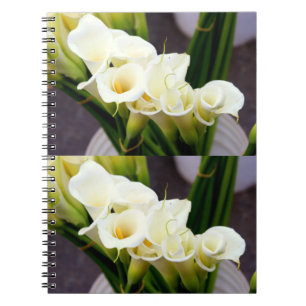 cuaderno de ramos de cal