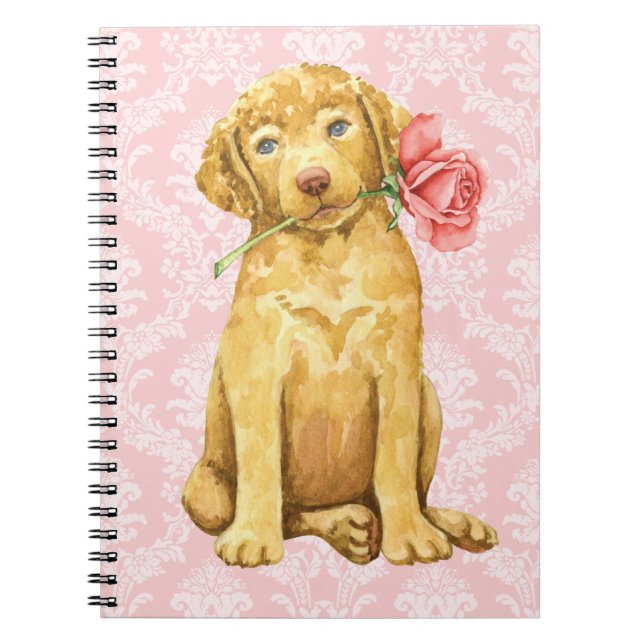 Cuaderno de recuperación de bahía de Valentine Ros (Frente)