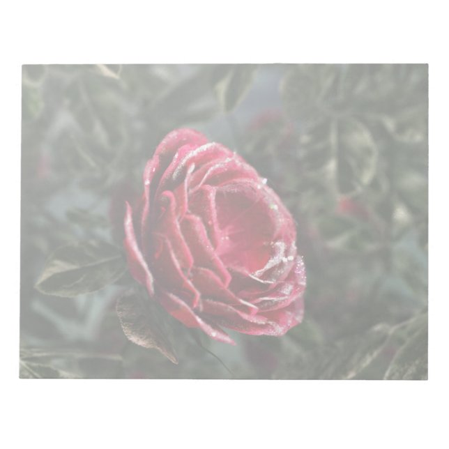 Cuaderno de regalo de despedida de invierno (Frente)