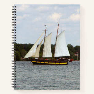 cuaderno de rescate de Liana