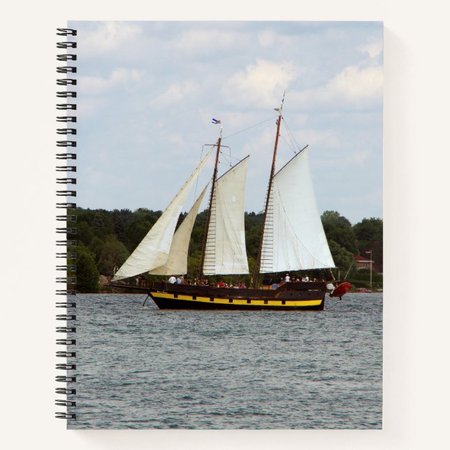 cuaderno de rescate de Liana (Anverso)