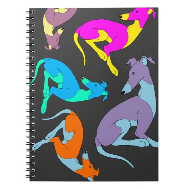 Cuaderno de Roo (Frente)