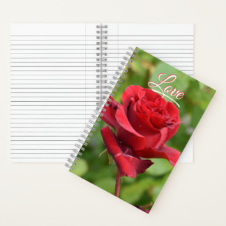 Cuaderno de rosa
