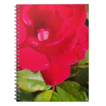 Cuaderno de Rosa