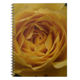 Cuaderno de rosa amarillo