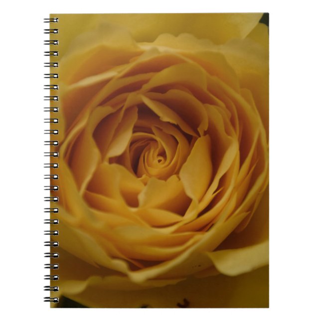 Cuaderno de rosa amarillo (Frente)