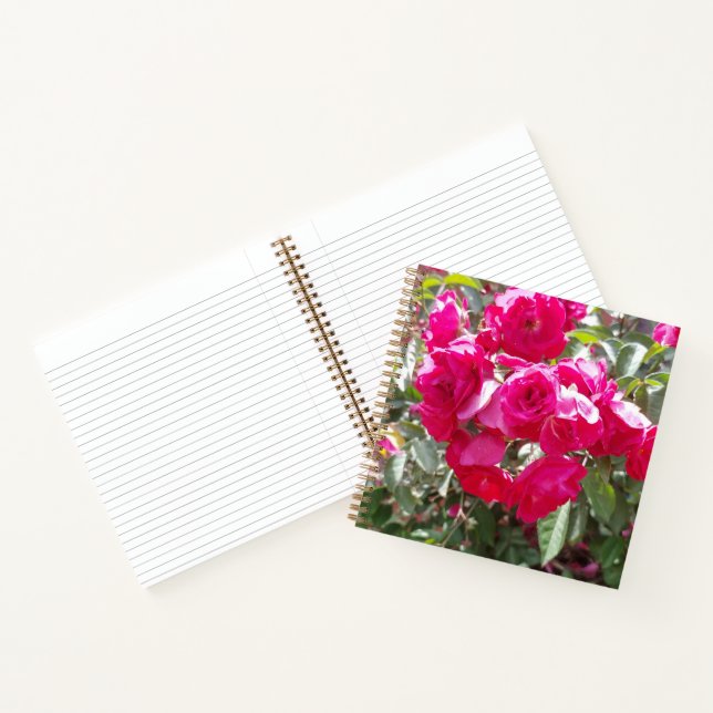 Cuaderno de Rosas Glamurosas (Interior)