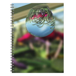 Cuaderno de Rosas sobre Gotitas de Lluvia