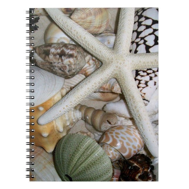 Cuaderno de Seashells (Frente)