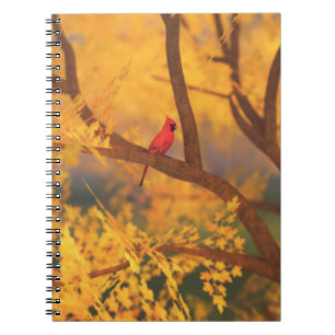 Cuaderno de The Guardian de otoño