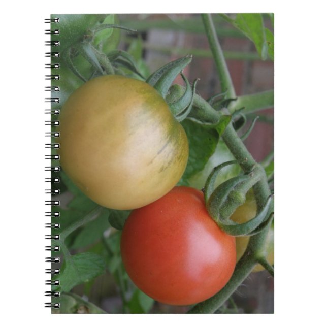 Cuaderno de tomates naranjas y rojos (Frente)