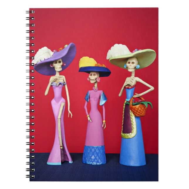 Cuaderno de Tres Catrinas (Frente)