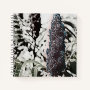 Cuaderno de tres espirales