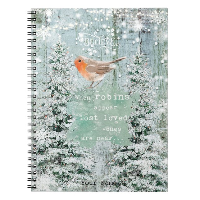cuaderno de vacaciones de Navidad aparecen petirro (Frente)
