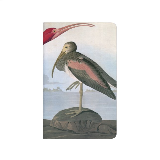 Cuaderno De Viaje Audubon: Escarlata Ibis (Anverso)