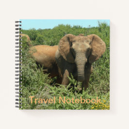 Cuaderno de viajes para elefantes africanos
