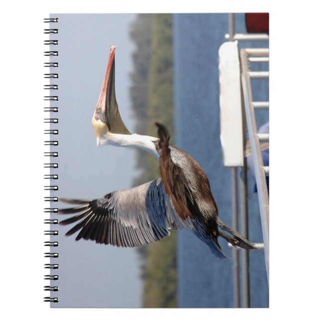Cuaderno de vuelo de Pelican (Frente)