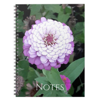 Cuaderno de Zinnias Lavanda