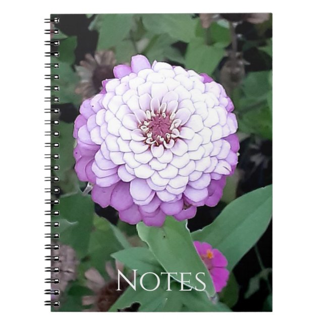 Cuaderno de Zinnias Lavanda (Frente)