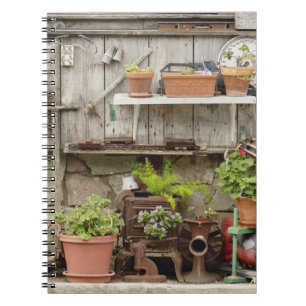 Cuaderno Decoración en una valla de madera, en Catalina Is