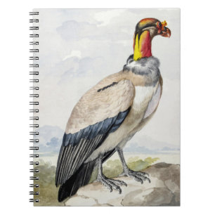 Cuaderno Decoración mural de vibrante buitre rey exótico