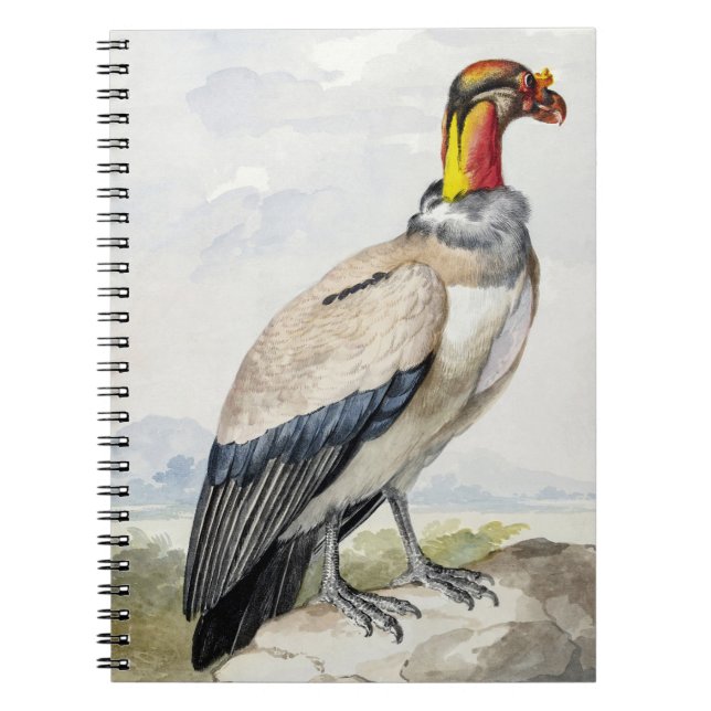 Cuaderno Decoración mural de vibrante buitre rey exótico (Frente)