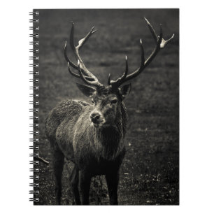 CUADERNO DEER 12 PUNTO BUCK