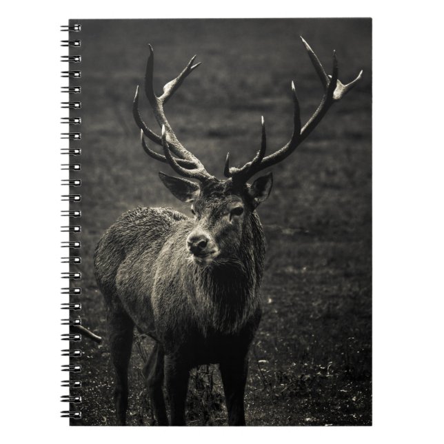 CUADERNO DEER 12 PUNTO BUCK (Frente)
