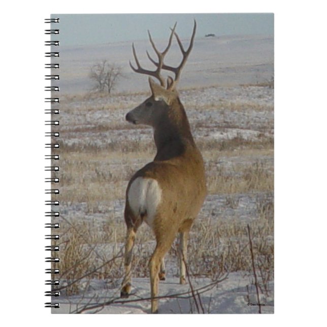 Cuaderno Deer Buck D20 en Nieve (Frente)