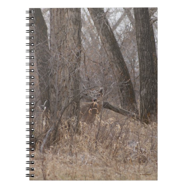 Cuaderno Deer de cola blanca D2 en árboles de madera de alg (Frente)