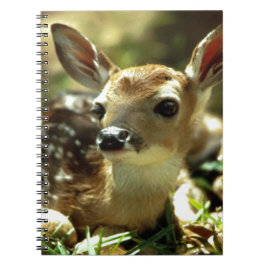 Cuaderno Deer Fawn