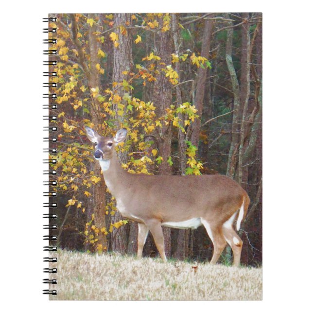 Cuaderno Deer in Front of Yellow Autumn Tree (Frente)