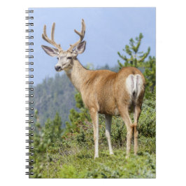 Cuaderno Deer majestuoso