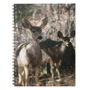 Cuaderno Deer saludando