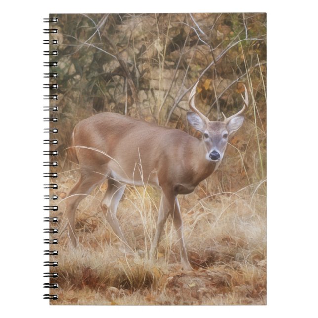 Cuaderno Deer salvaje en un bloc de notas para el prado de  (Frente)