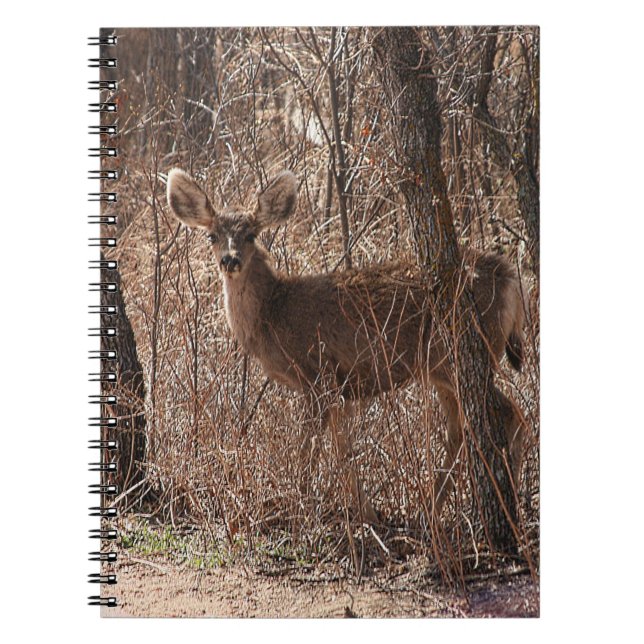 Cuaderno Deer Stare (Frente)
