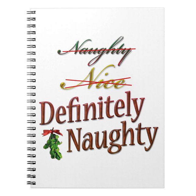 Cuaderno Definitivamente travieso (Frente)