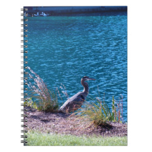 Cuaderno Deja los colores ser su guía