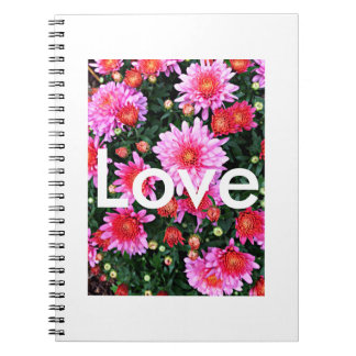 Cuaderno del "amor"
