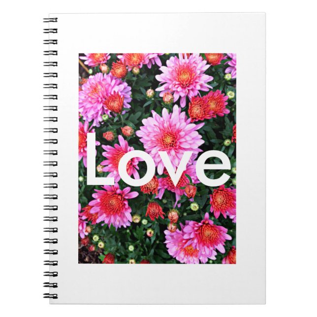 Cuaderno del "amor" (Frente)