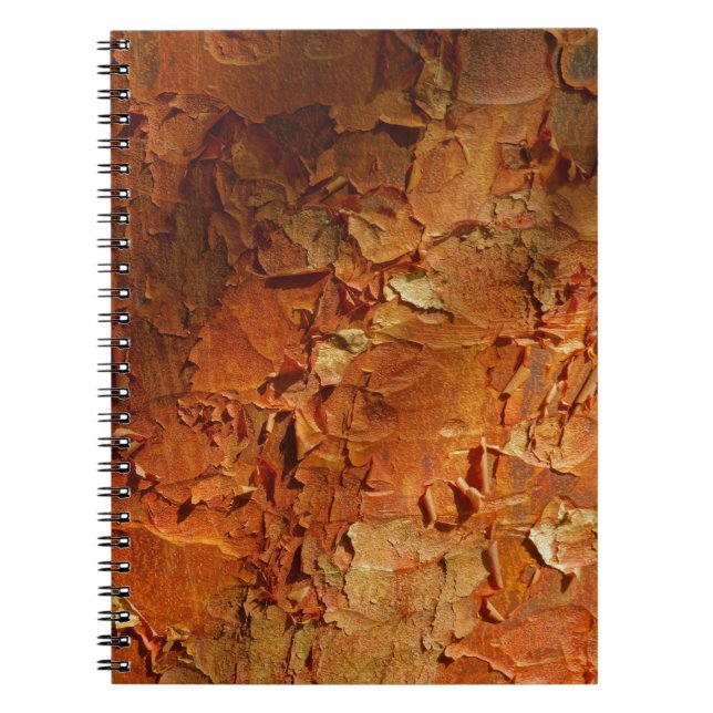 Cuaderno del arce de Paperbark (Frente)