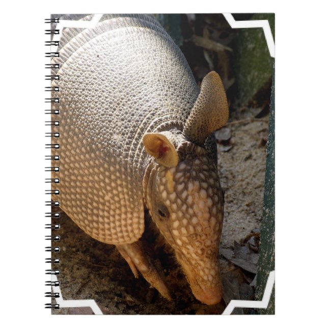Cuaderno del armadillo (Frente)