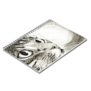 Cuaderno del arte del dibujo de la luz de hadas