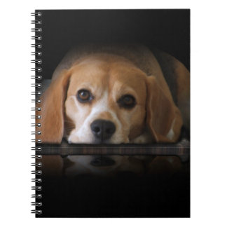 Cuaderno del beagle