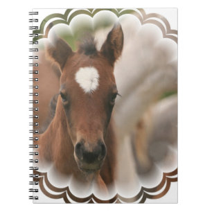 Cuaderno del bebé del caballo