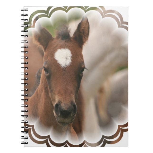 Cuaderno del bebé del caballo (Frente)