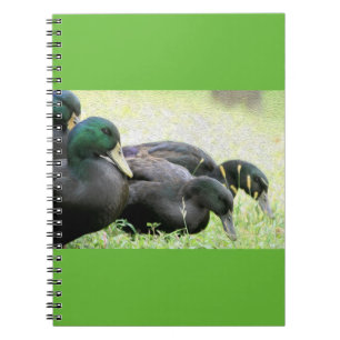 Cuaderno del Bello Artes de los patos negros del